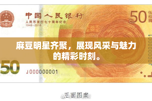 麻豆明星齐聚，展现风采与魅力的精彩时刻。