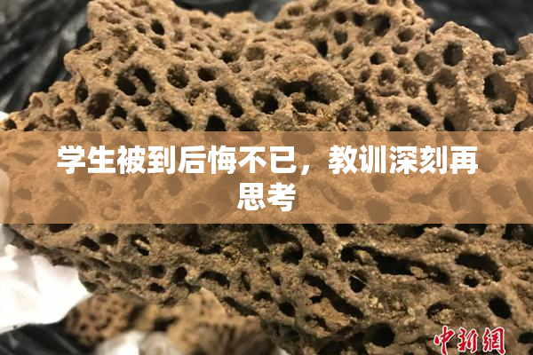 学生被到后悔不已，教训深刻再思考