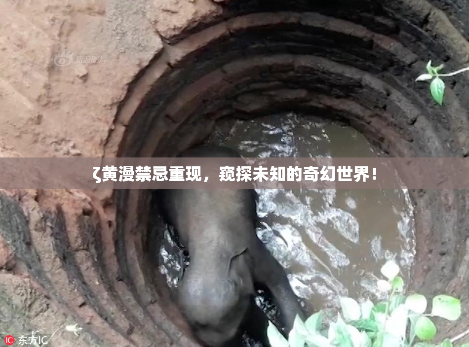 ζ黄漫禁忌重现，窥探未知的奇幻世界！