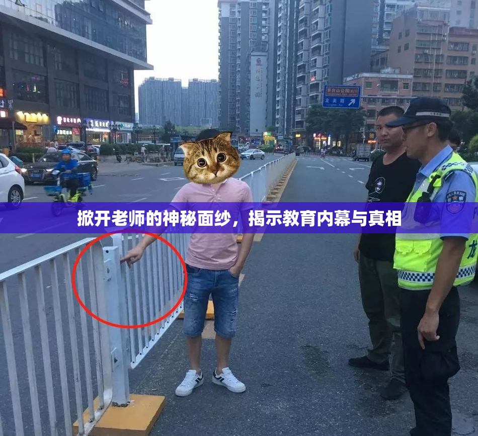 掀开老师的神秘面纱，揭示教育内幕与真相