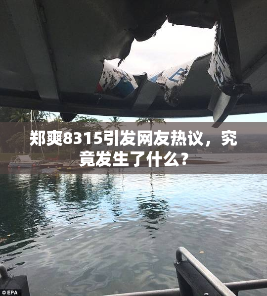 郑爽8315引发网友热议，究竟发生了什么？