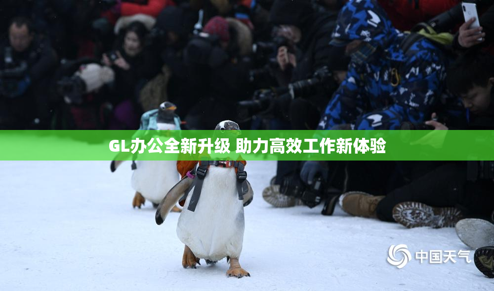 GL办公全新升级 助力高效工作新体验