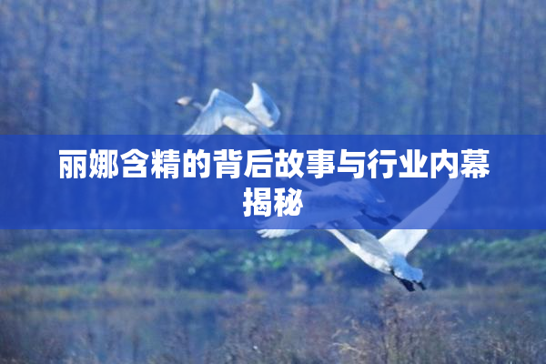丽娜含精的背后故事与行业内幕揭秘