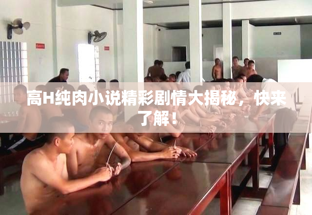 高H纯肉小说精彩剧情大揭秘，快来了解！