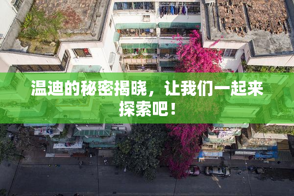 温迪的秘密揭晓，让我们一起来探索吧！