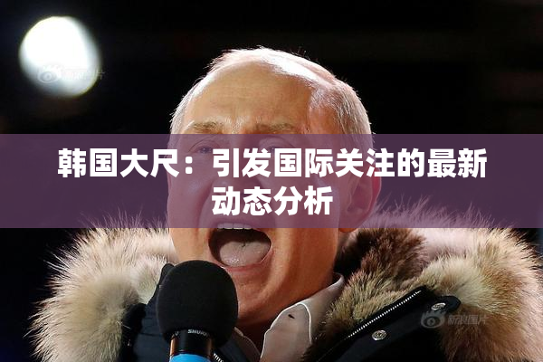 韩国大尺：引发国际关注的最新动态分析