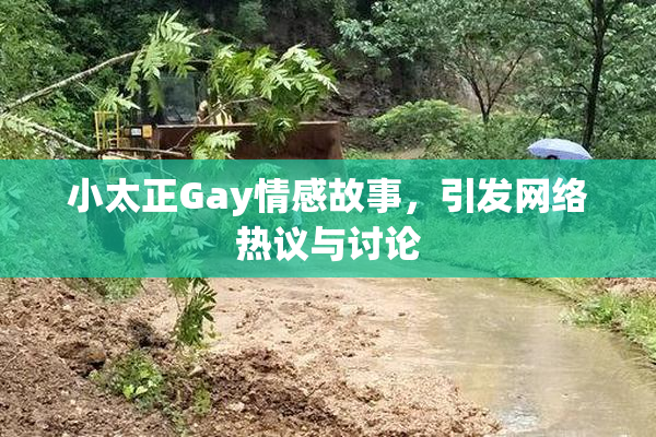小太正Gay情感故事，引发网络热议与讨论