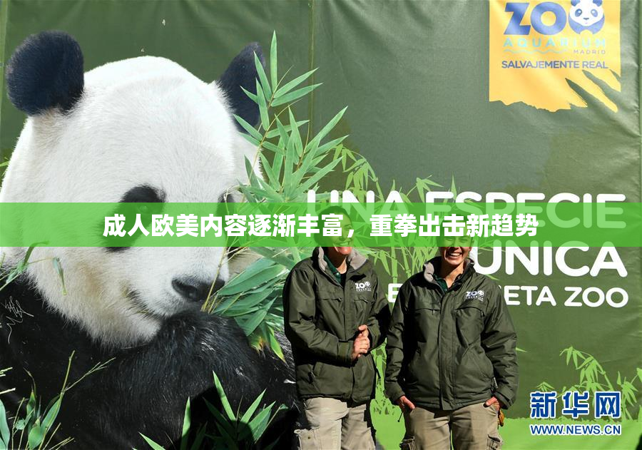 成人欧美内容逐渐丰富，重拳出击新趋势