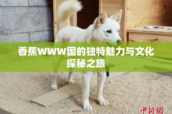 香蕉WWW国的独特魅力与文化探秘之旅