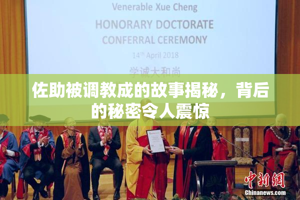 佐助被调教成的故事揭秘，背后的秘密令人震惊