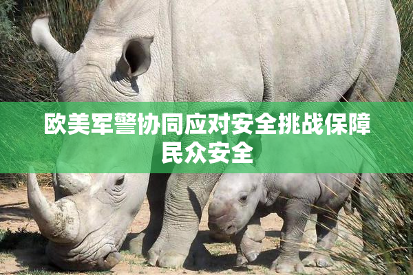 欧美军警协同应对安全挑战保障民众安全