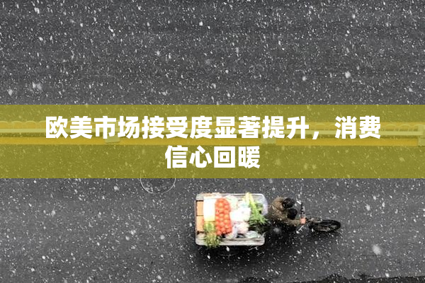 欧美市场接受度显著提升，消费信心回暖