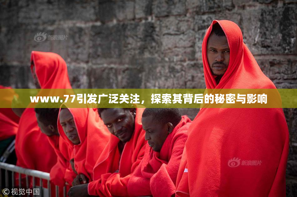 www.77引发广泛关注，探索其背后的秘密与影响