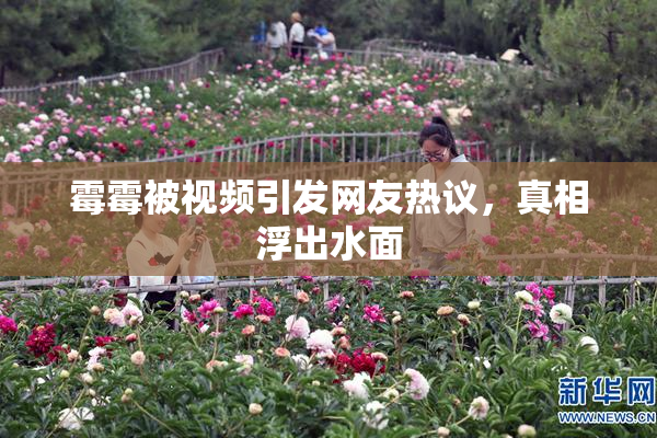 霉霉被视频引发网友热议，真相浮出水面