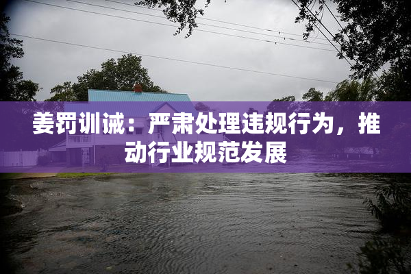 姜罚训诫：严肃处理违规行为，推动行业规范发展