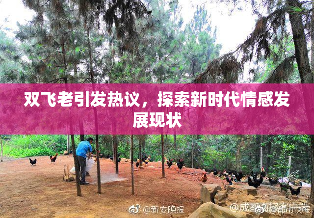 双飞老引发热议，探索新时代情感发展现状