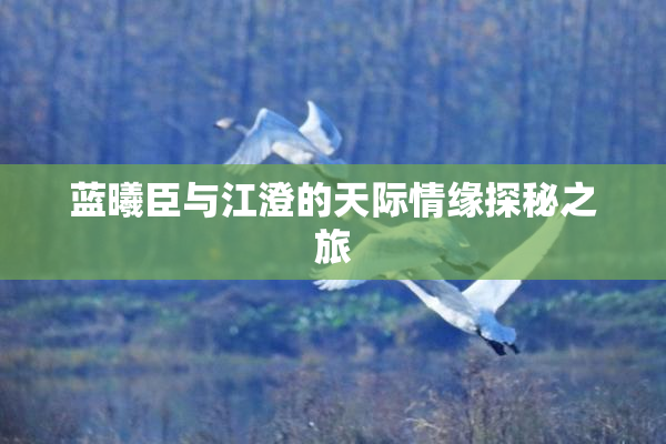 蓝曦臣与江澄的天际情缘探秘之旅