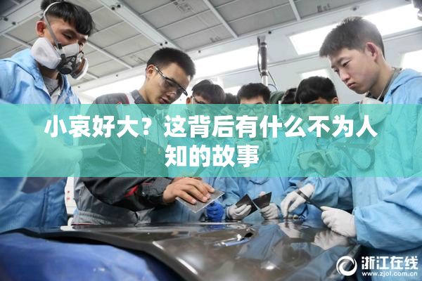 小哀好大？这背后有什么不为人知的故事