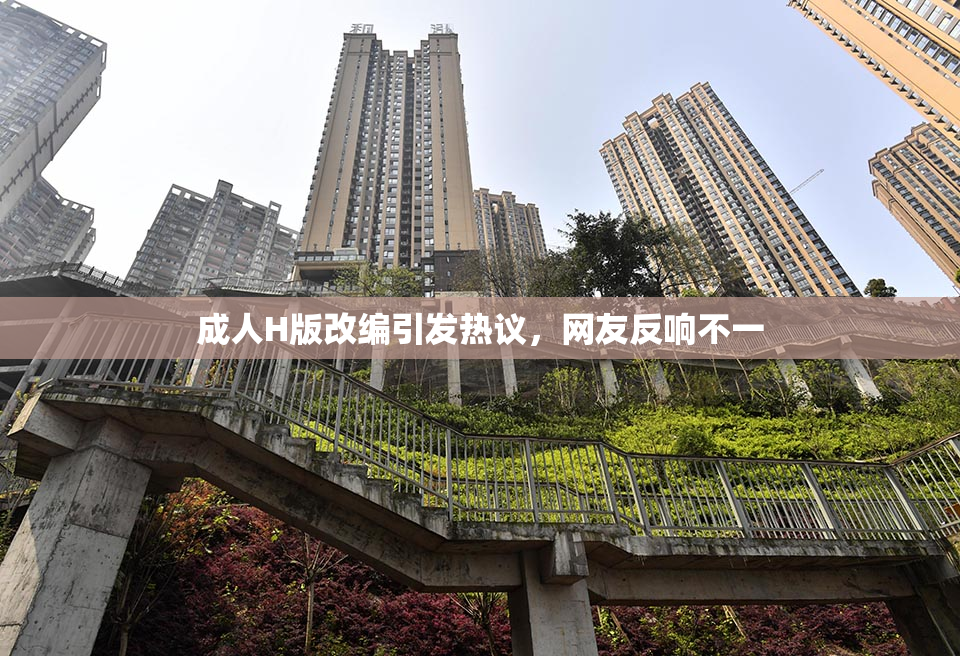 成人H版改编引发热议，网友反响不一