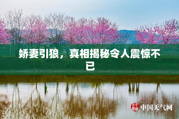 娇妻引狼，真相揭秘令人震惊不已