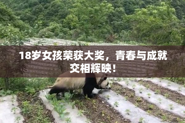 18岁女孩荣获大奖，青春与成就交相辉映！