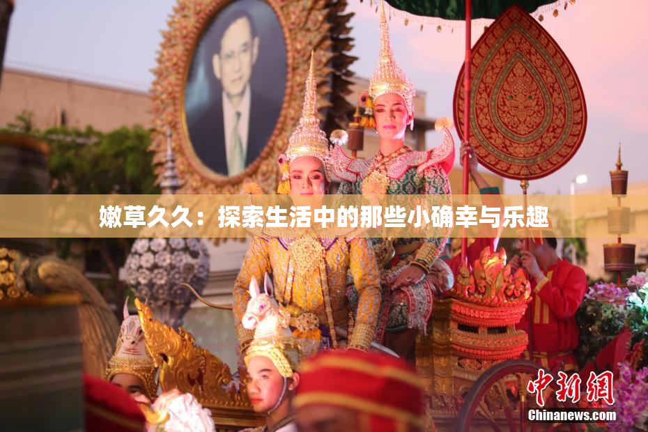 嫩草久久：探索生活中的那些小确幸与乐趣