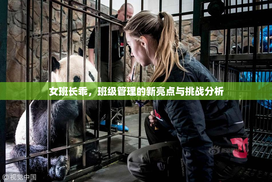女班长乖，班级管理的新亮点与挑战分析