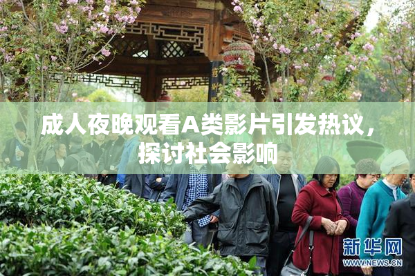 成人夜晚观看A类影片引发热议，探讨社会影响