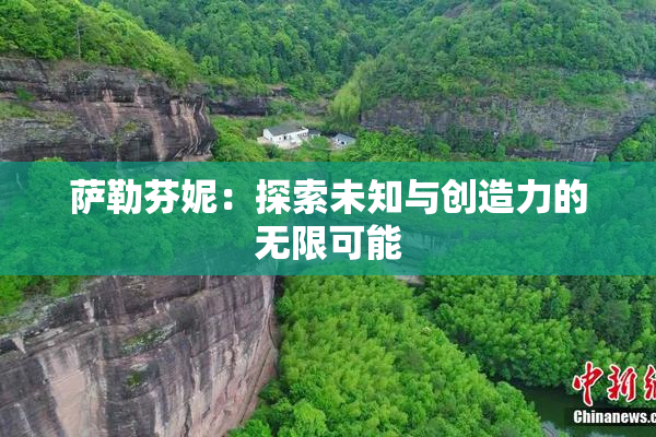 萨勒芬妮：探索未知与创造力的无限可能