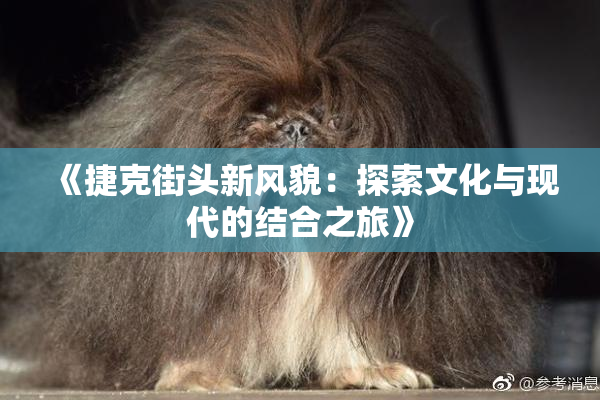 《捷克街头新风貌：探索文化与现代的结合之旅》