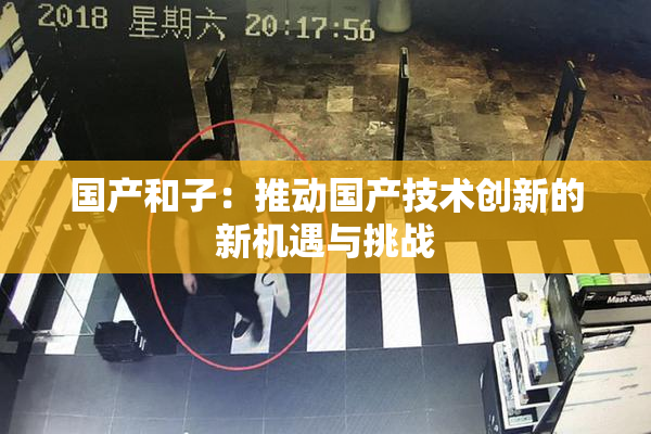 国产和子：推动国产技术创新的新机遇与挑战