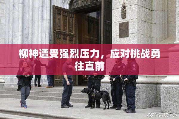 柳神遭受强烈压力，应对挑战勇往直前
