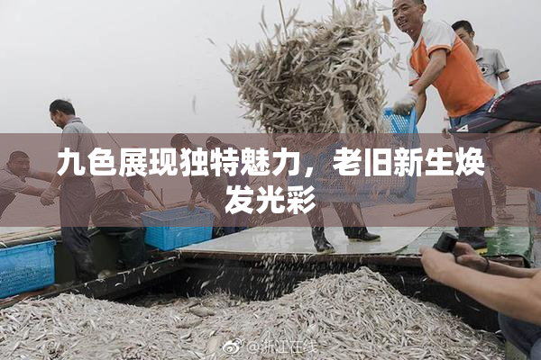 九色展现独特魅力，老旧新生焕发光彩