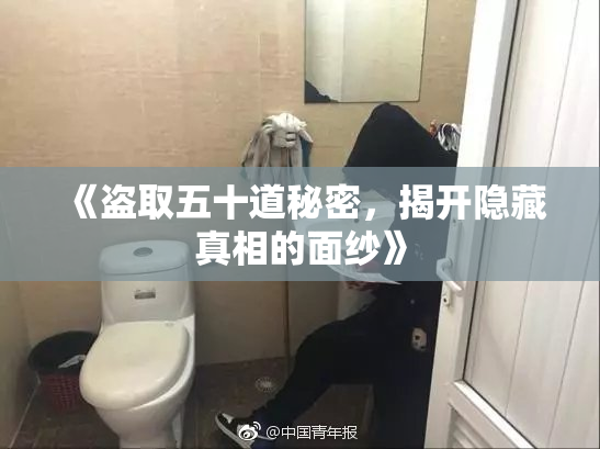 《盗取五十道秘密，揭开隐藏真相的面纱》