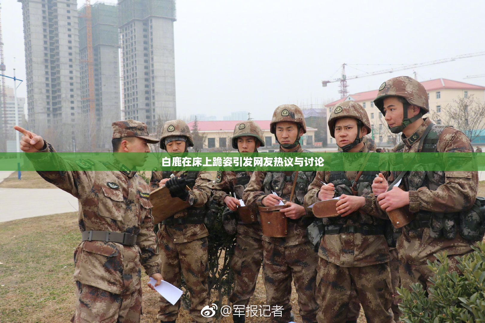 白鹿在床上跪姿引发网友热议与讨论