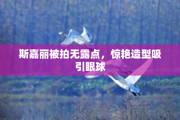 斯嘉丽被拍无露点，惊艳造型吸引眼球
