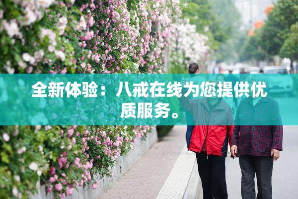 全新体验：八戒在线为您提供优质服务。