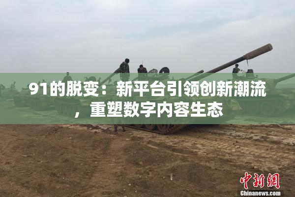 91的脱变：新平台引领创新潮流，重塑数字内容生态