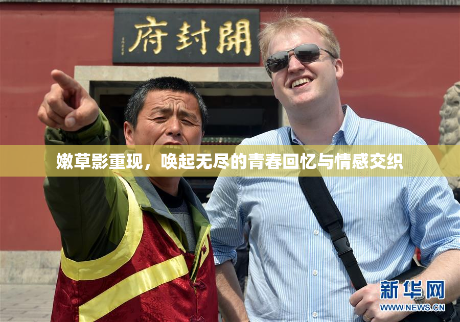 嫩草影重现，唤起无尽的青春回忆与情感交织
