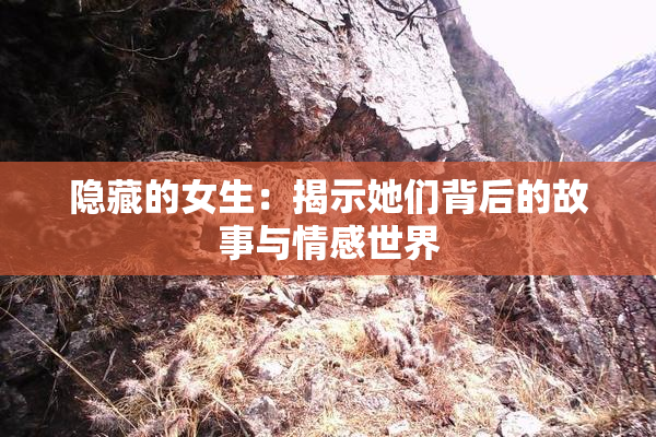 隐藏的女生：揭示她们背后的故事与情感世界