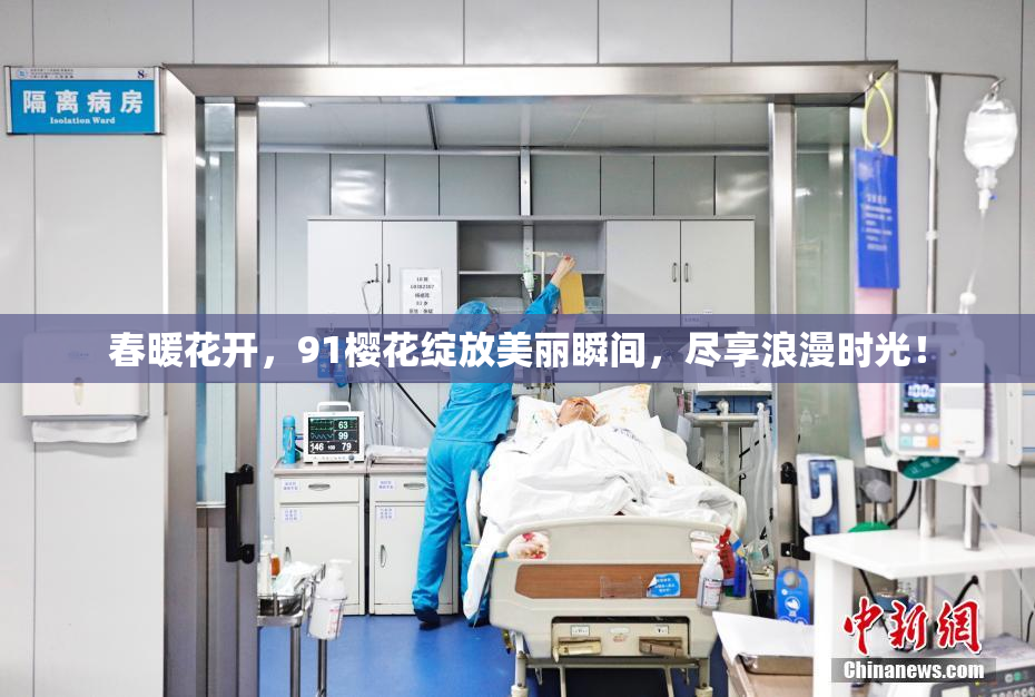 春暖花开，91樱花绽放美丽瞬间，尽享浪漫时光！