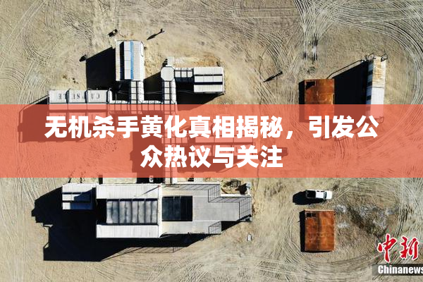 无机杀手黄化真相揭秘，引发公众热议与关注