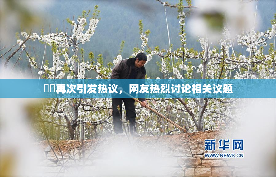 妺妺再次引发热议，网友热烈讨论相关议题