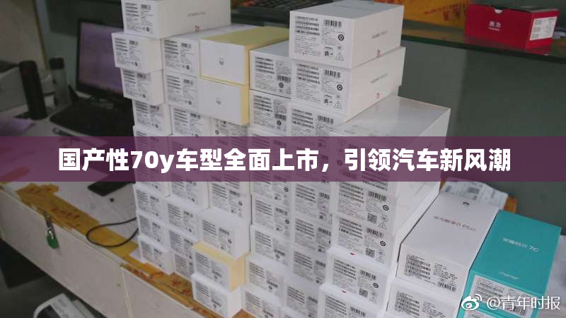 国产性70y车型全面上市，引领汽车新风潮