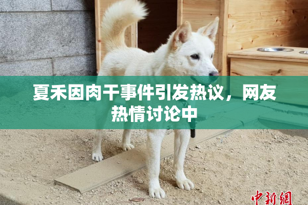 夏禾因肉干事件引发热议，网友热情讨论中