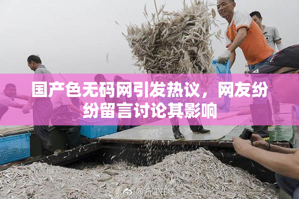 国产色无码网引发热议，网友纷纷留言讨论其影响
