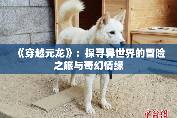 《穿越元龙》：探寻异世界的冒险之旅与奇幻情缘