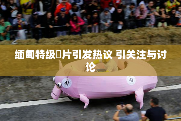 缅甸特级婬片引发热议 引关注与讨论
