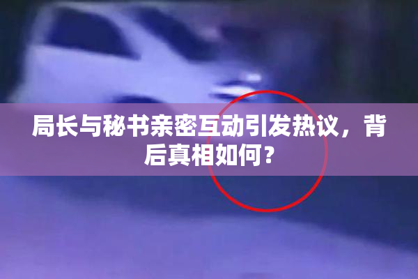 局长与秘书亲密互动引发热议，背后真相如何？