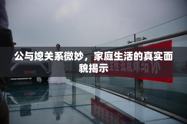 公与媳关系微妙，家庭生活的真实面貌揭示